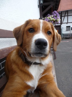 P1040084 [1024x768].JPG