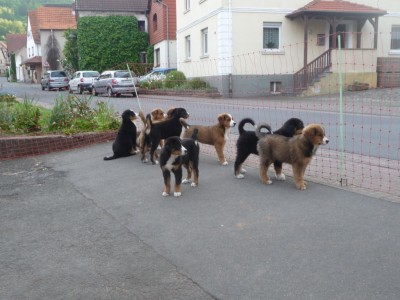 P1030304 [1024x768].JPG