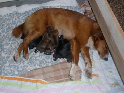 P1020360 [1024x768].JPG