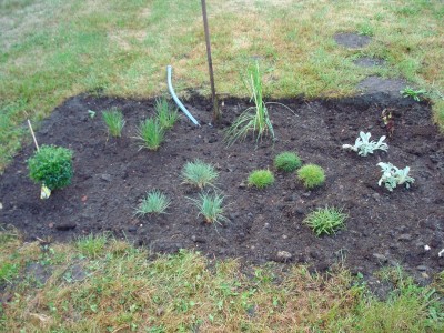 mein erstes eigenes Beet.jpg