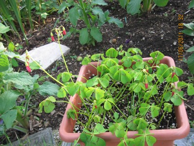 2011_6045.jpg