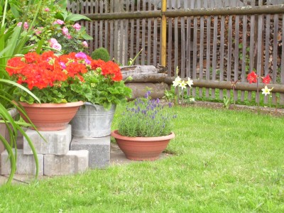 Gartenama.jpg