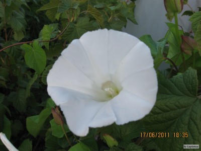IMG_5849.JPG