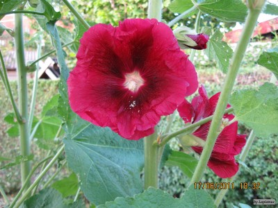 IMG_5846.JPG