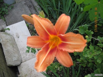 IMG_5847.JPG