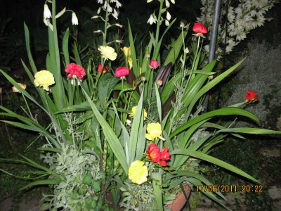 IMG_5857.JPG