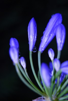 CSC_0124.JPG