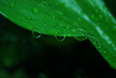 CSC_0125.JPG