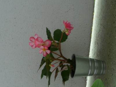P1090810.JPG