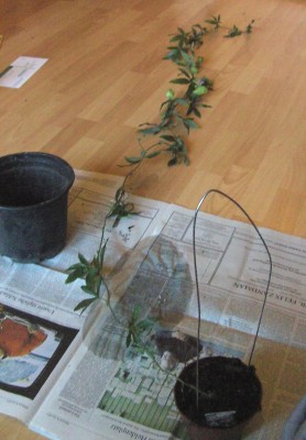 BILD0129.JPG