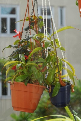 dsc_7161_N_ventrata.jpg