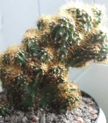 DSCF2308.JPG