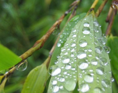 green24 004.jpg