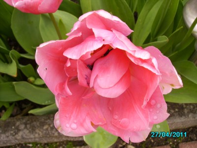 PICT2035.JPG