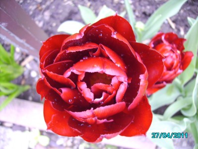 PICT2032.JPG