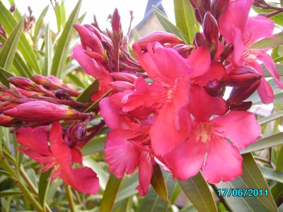 PICT2154.JPG