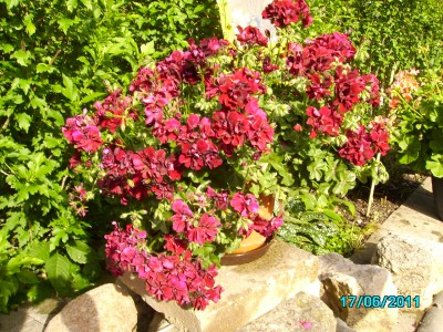 PICT2152.JPG