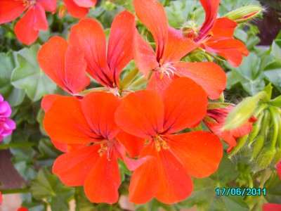 PICT2151.JPG
