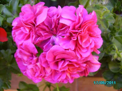 PICT2150.JPG
