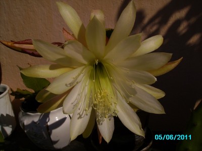 PICT2113.JPG
