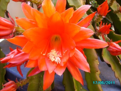 PICT2148.JPG