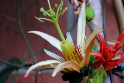 DSC_0024.JPG