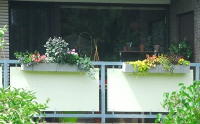 Sommerblumsches 006yy.jpg