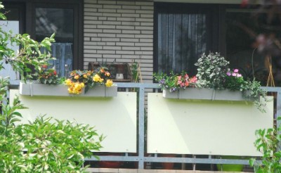 Sommerblumsches 004yy.jpg