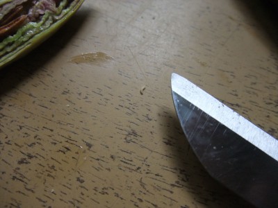 DSCF7738.JPG