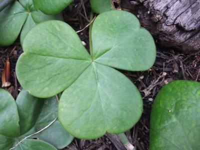 DSCF5853.JPG