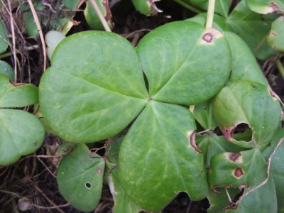 DSCF5850.JPG
