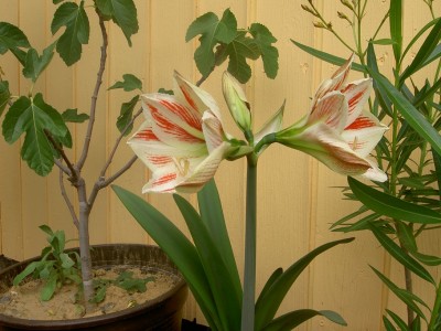 PICT0902.JPG