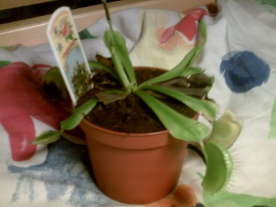 das bin ich^^ (22).JPG