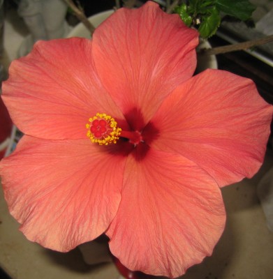 Bild green24 009.jpg