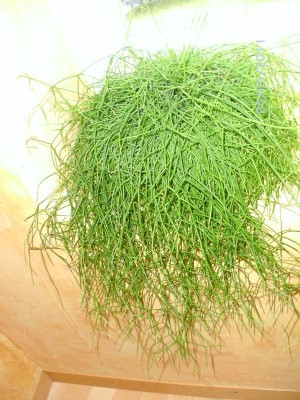 BILD0023.JPG