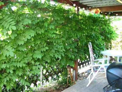 DSCF0826-Groß.jpg
