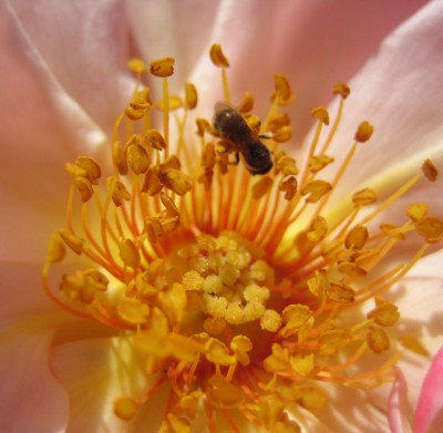 Bild green24 030.jpg