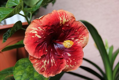 Heartbreak Hotel_1.jpg