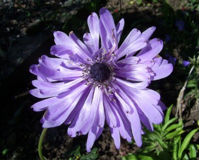 PIC_0012.JPG