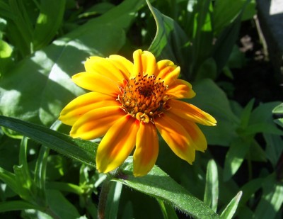 PIC_0016.JPG