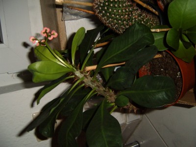 S3700057.JPG