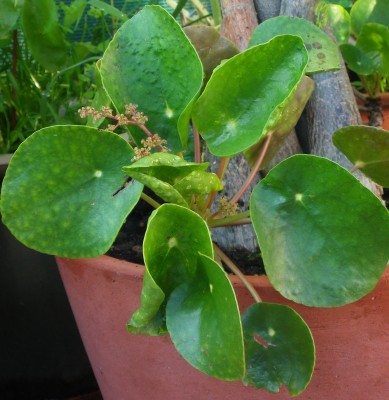 Kopie von IMGP0909.jpg