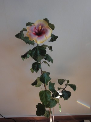 Eye of the Storm x Fifth Dimension 1.JPG