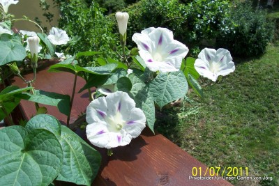 100_6256.JPG