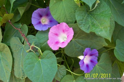 100_6255.JPG