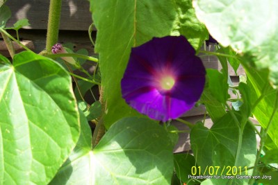 100_6251.JPG