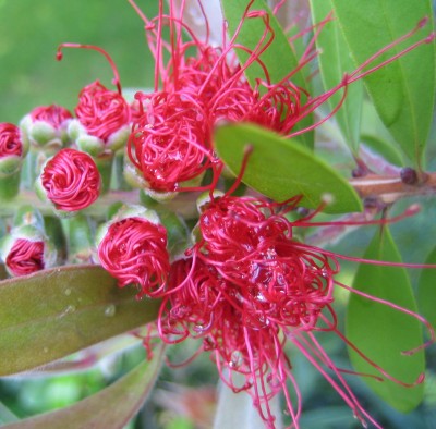 Bild green24 069.jpg