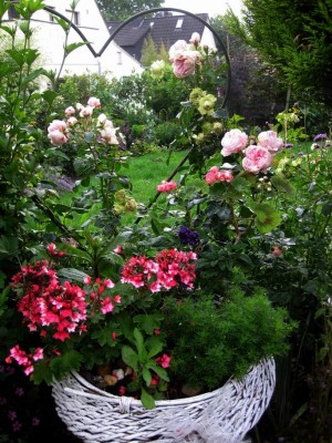 Größenänderung Wiederbelichtung von IMG_3056.JPG