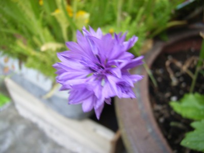 RIMG0114.JPG