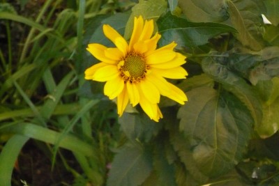 P1010166.JPG